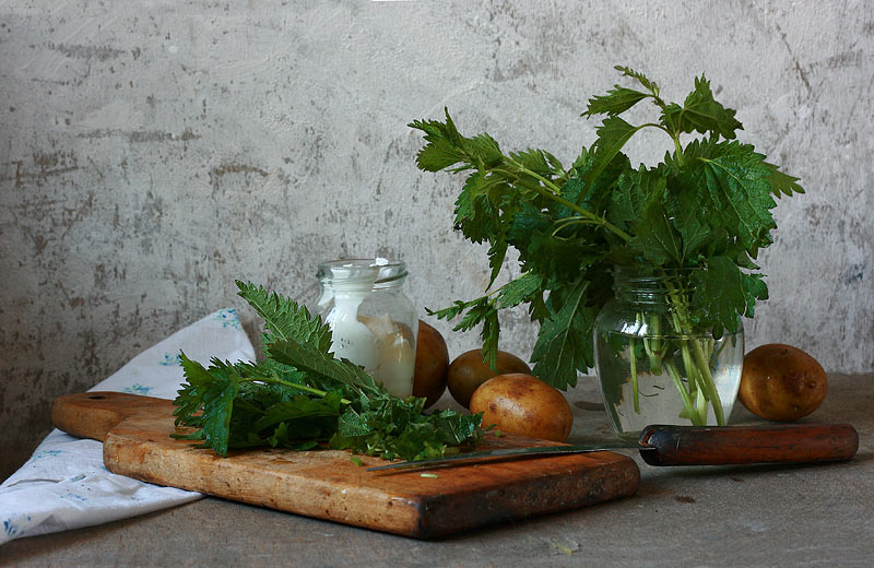 Kochen Brennnessel-Suppe.