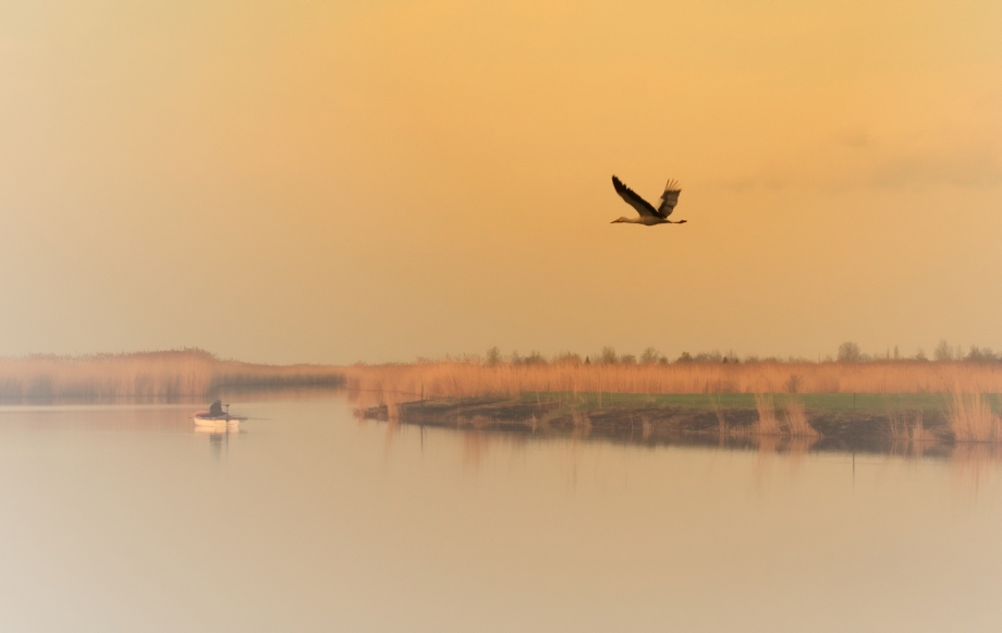 Am Morgen Morgendämmerung