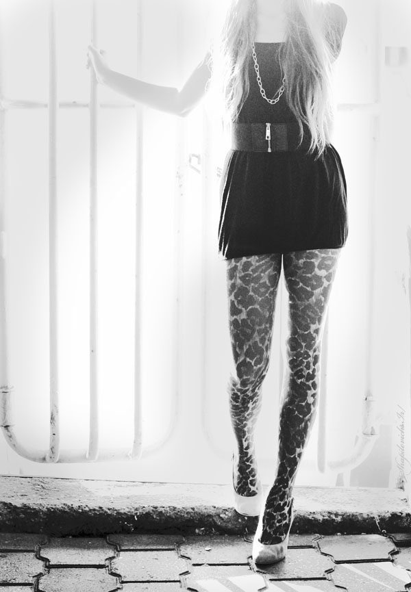 Shot nights. Long legs.