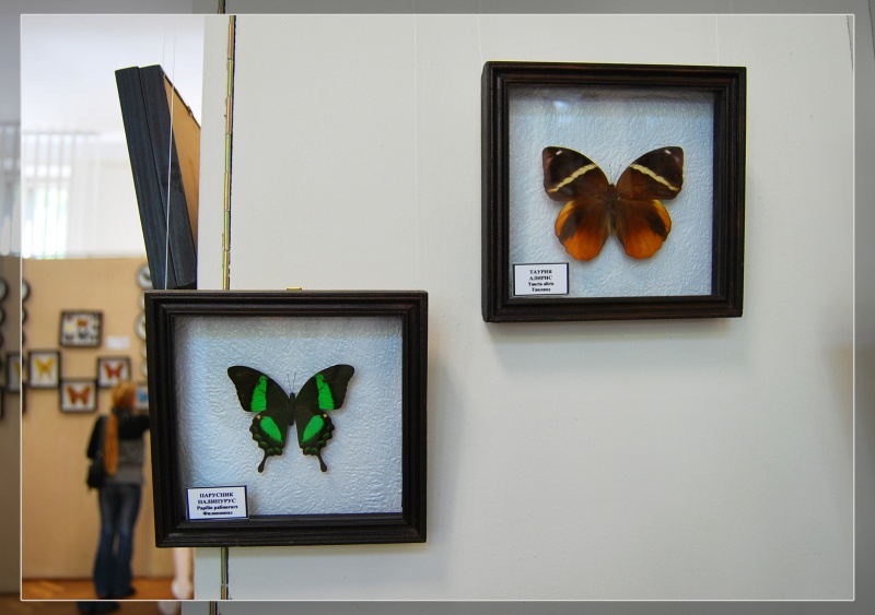 ... Lebt in einem Glas