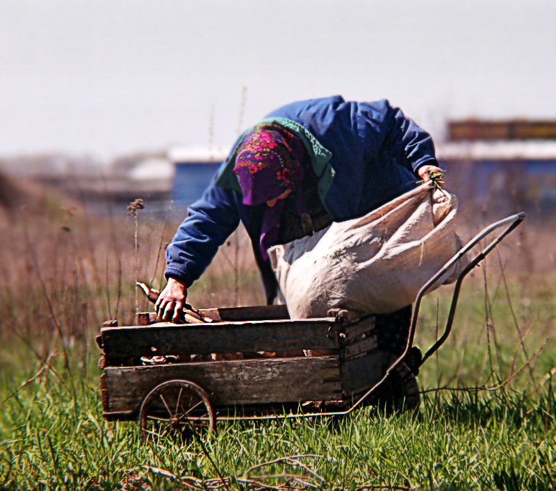 Sammler von Märchen