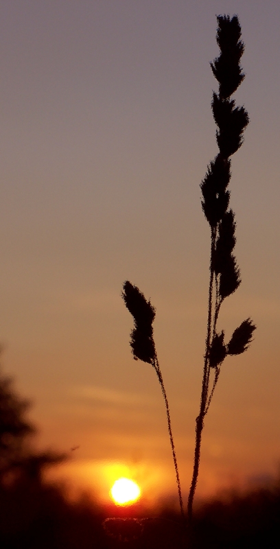 Auflösen in den Sonnenuntergang