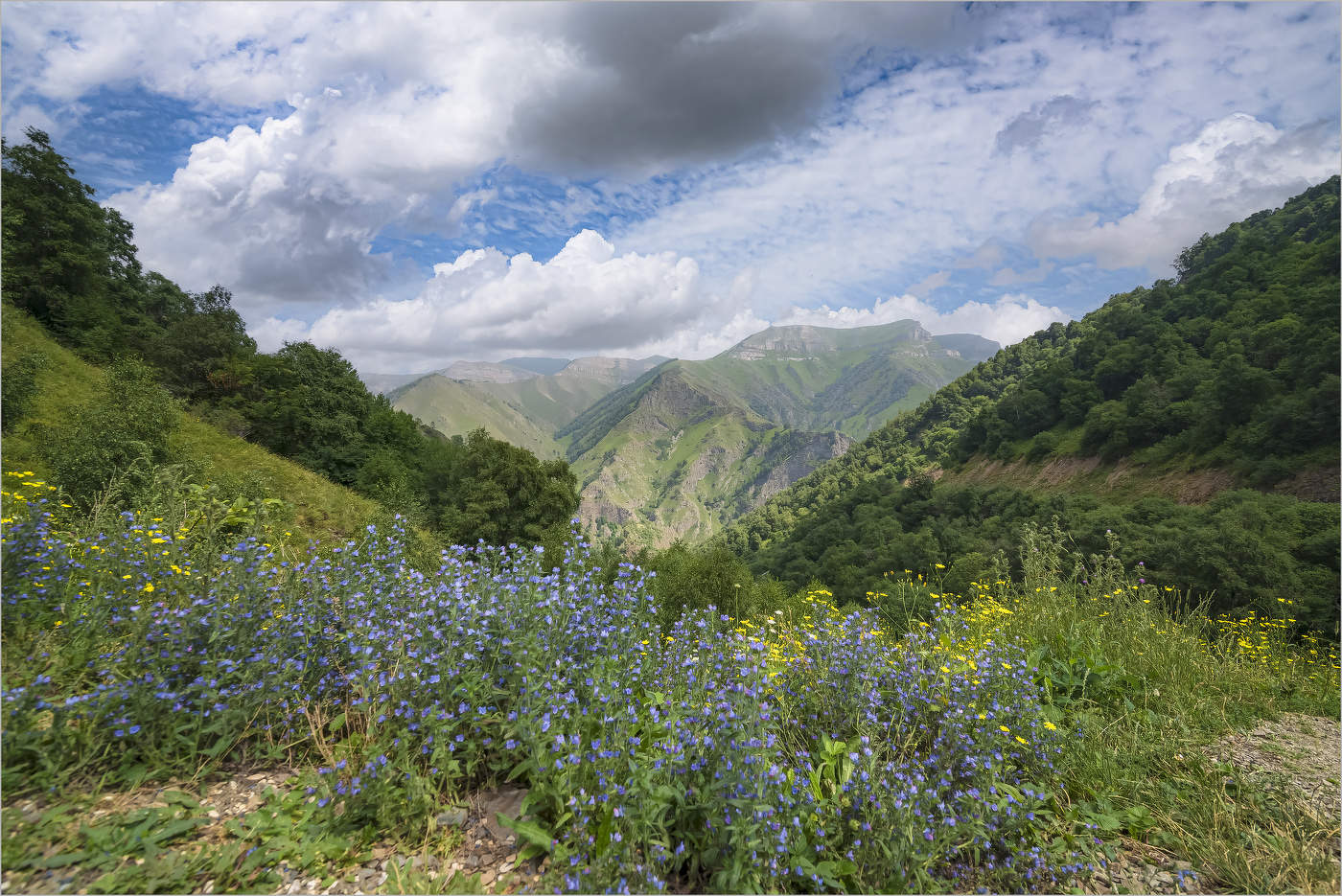 Sommer in den Bergen