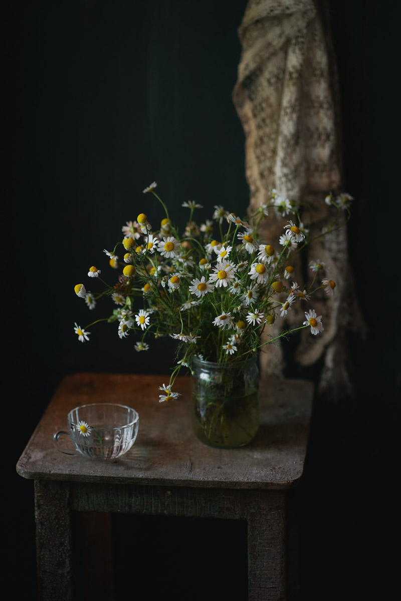 Mit Gänseblümchen ...