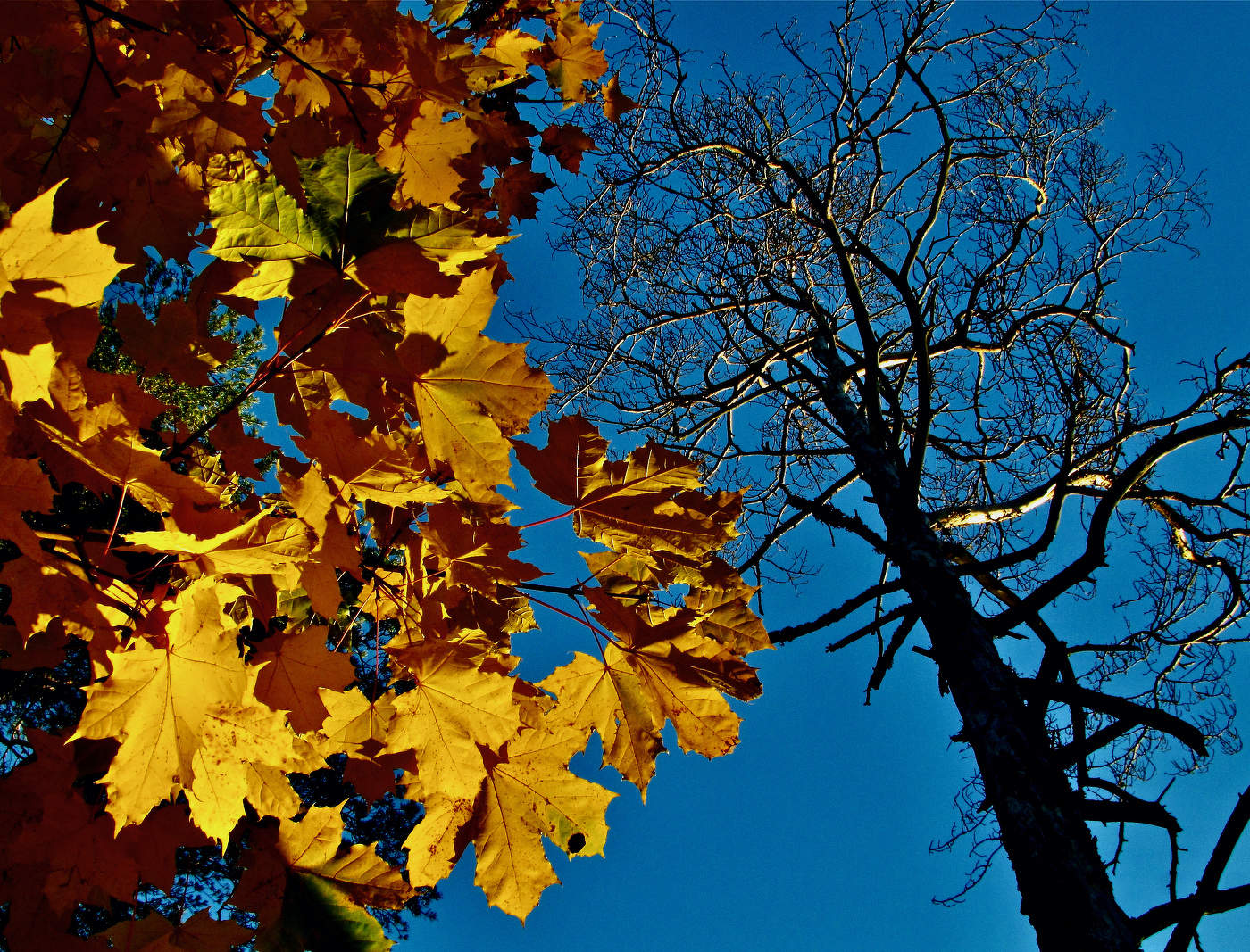 Alles zu seiner Zeit