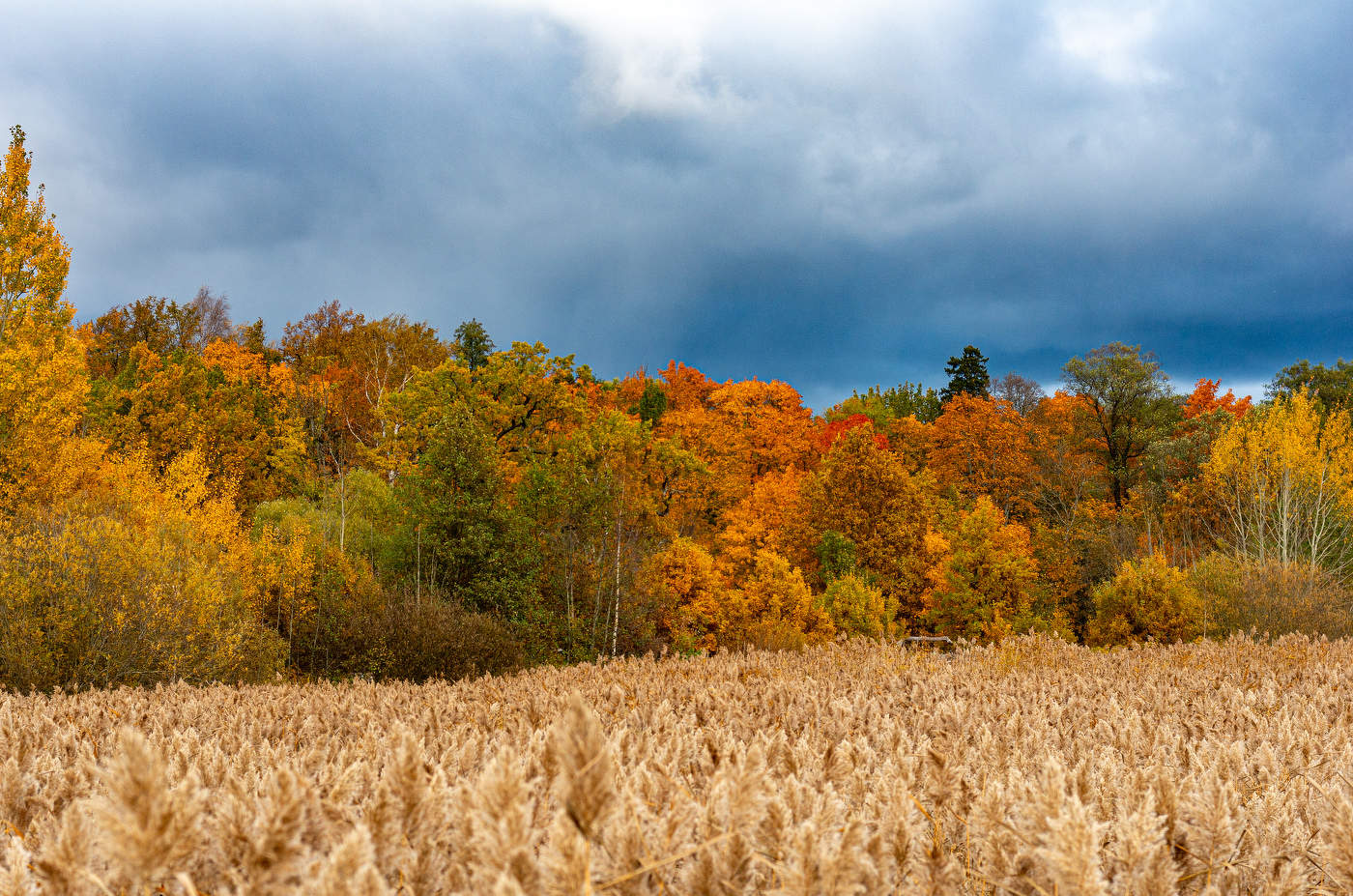Herbstlandschaft.