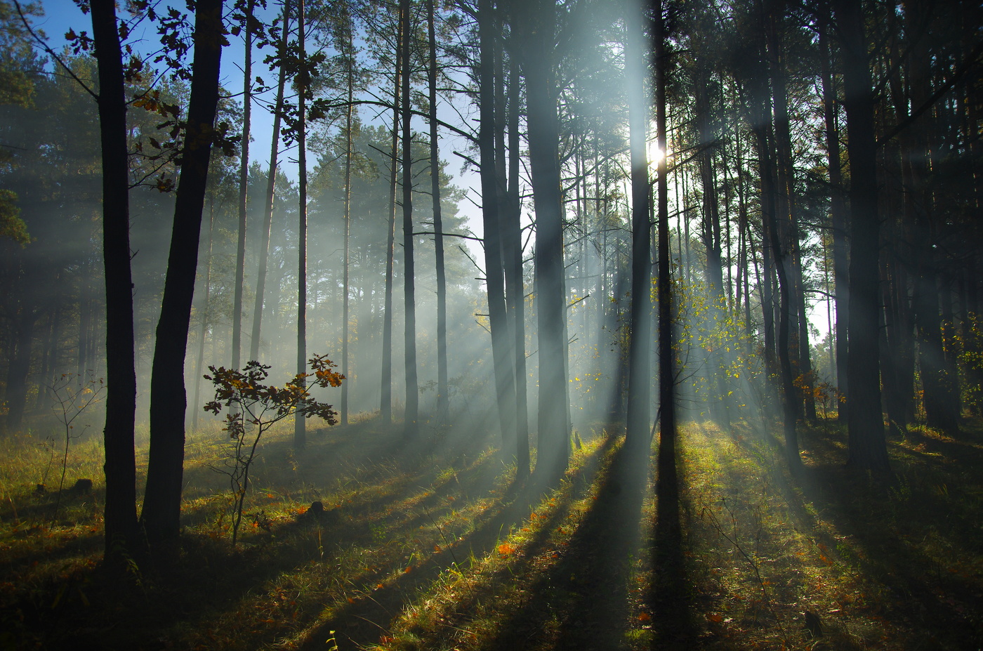 Sonnenaufgang über dem Fluss