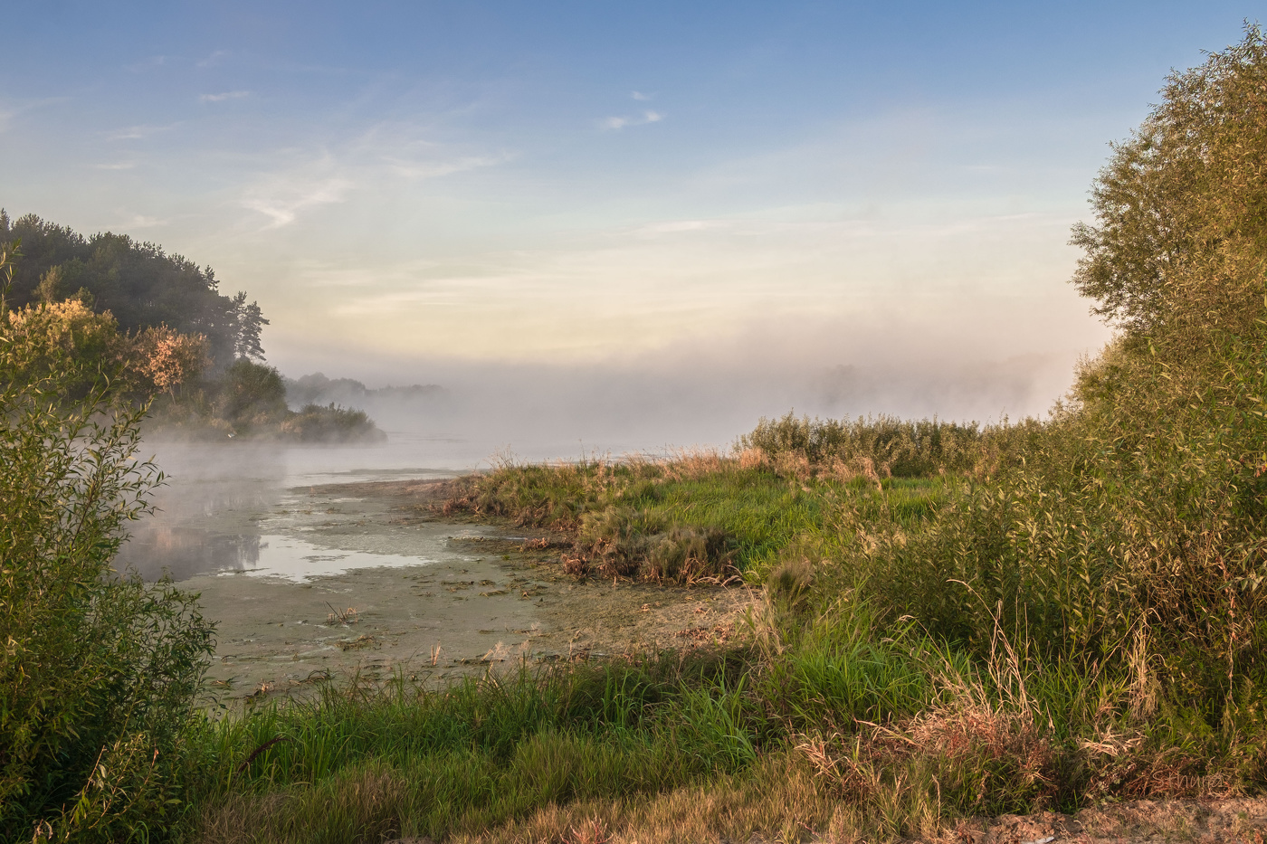 Nebel über dem Fluss.