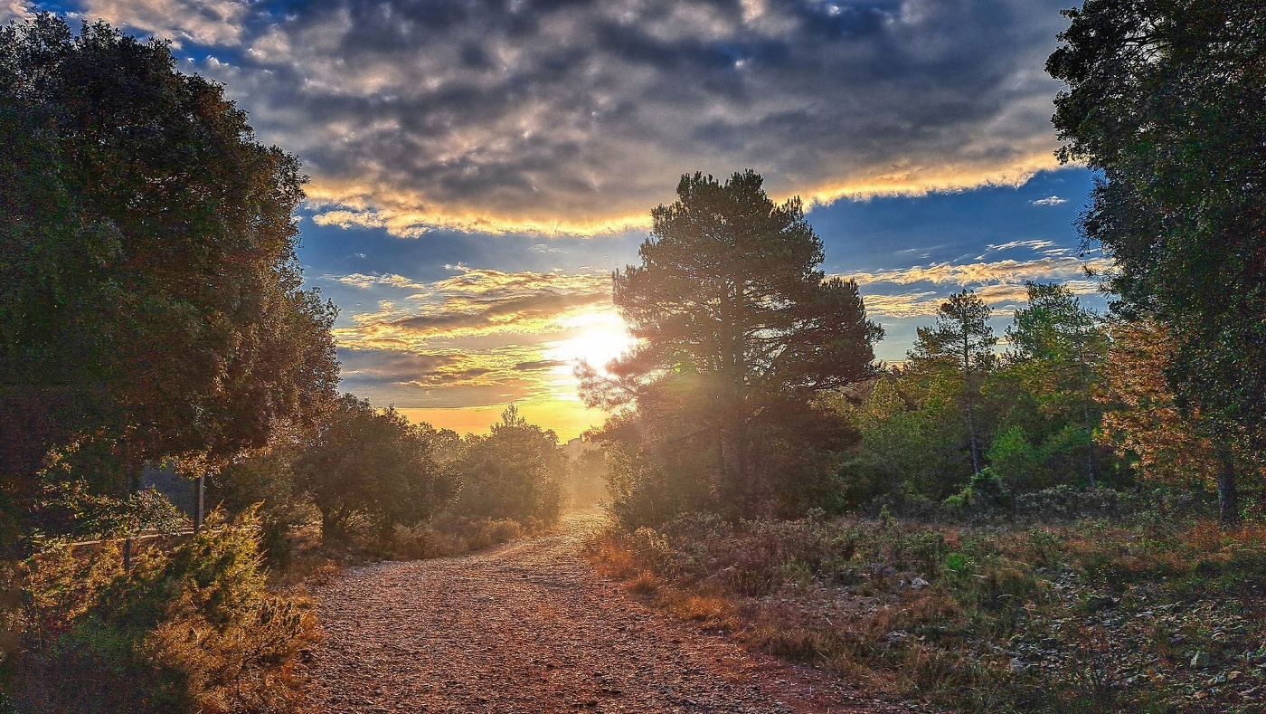 Rojals - camí Coll de la Mola - Conca de Barberà