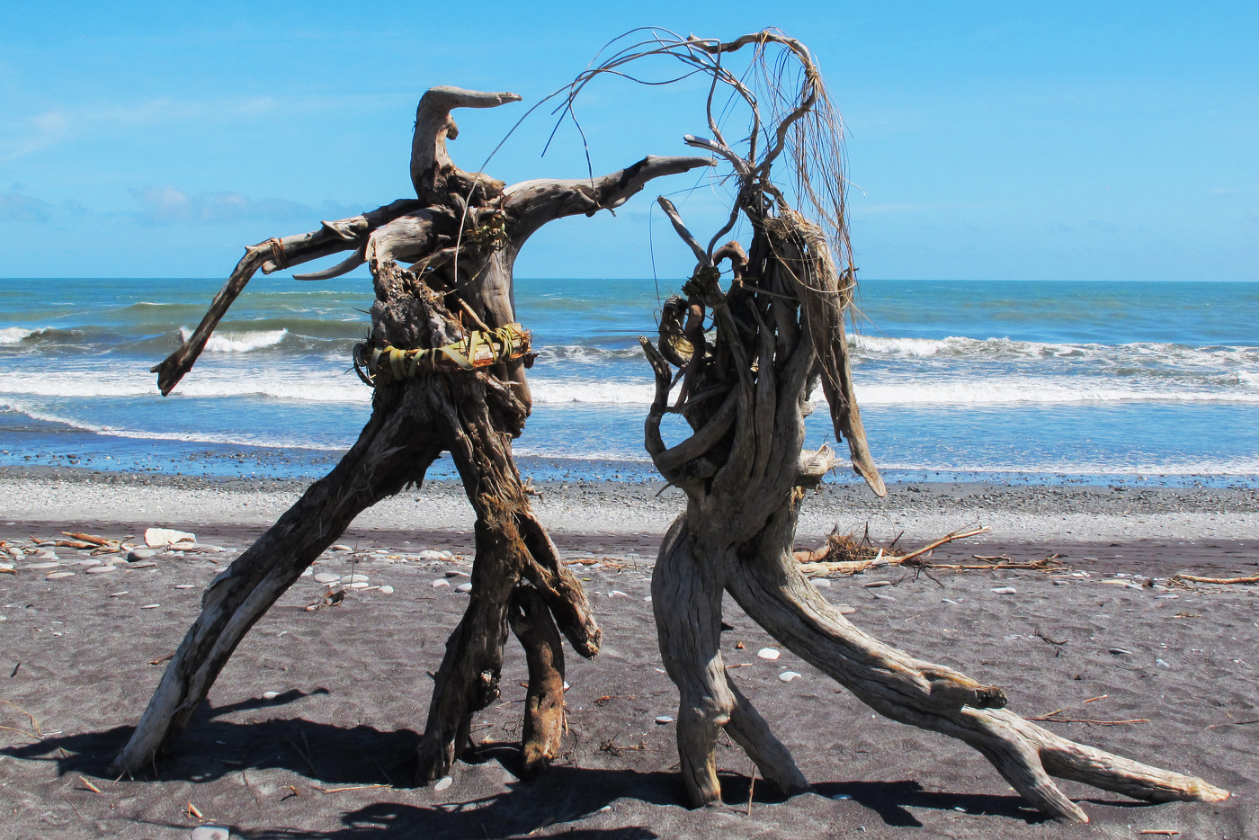 Driftwood Dancing