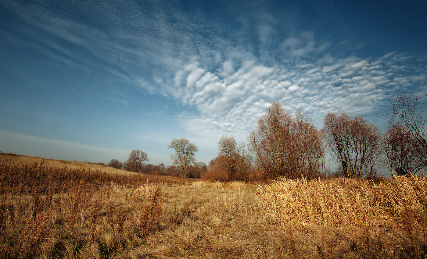 Im vergangenen Herbst Akkorden