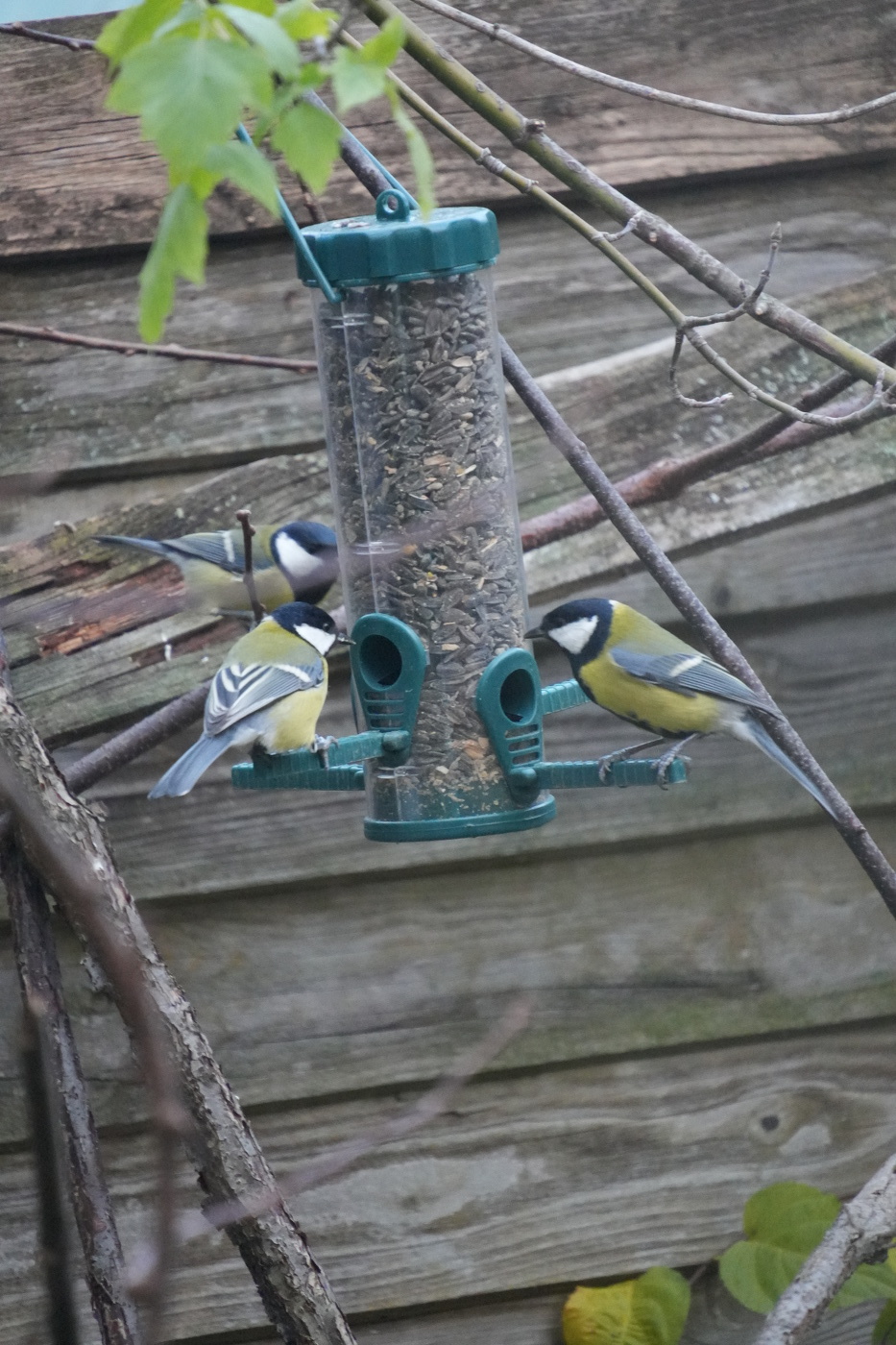 Nachdenken über die drei?