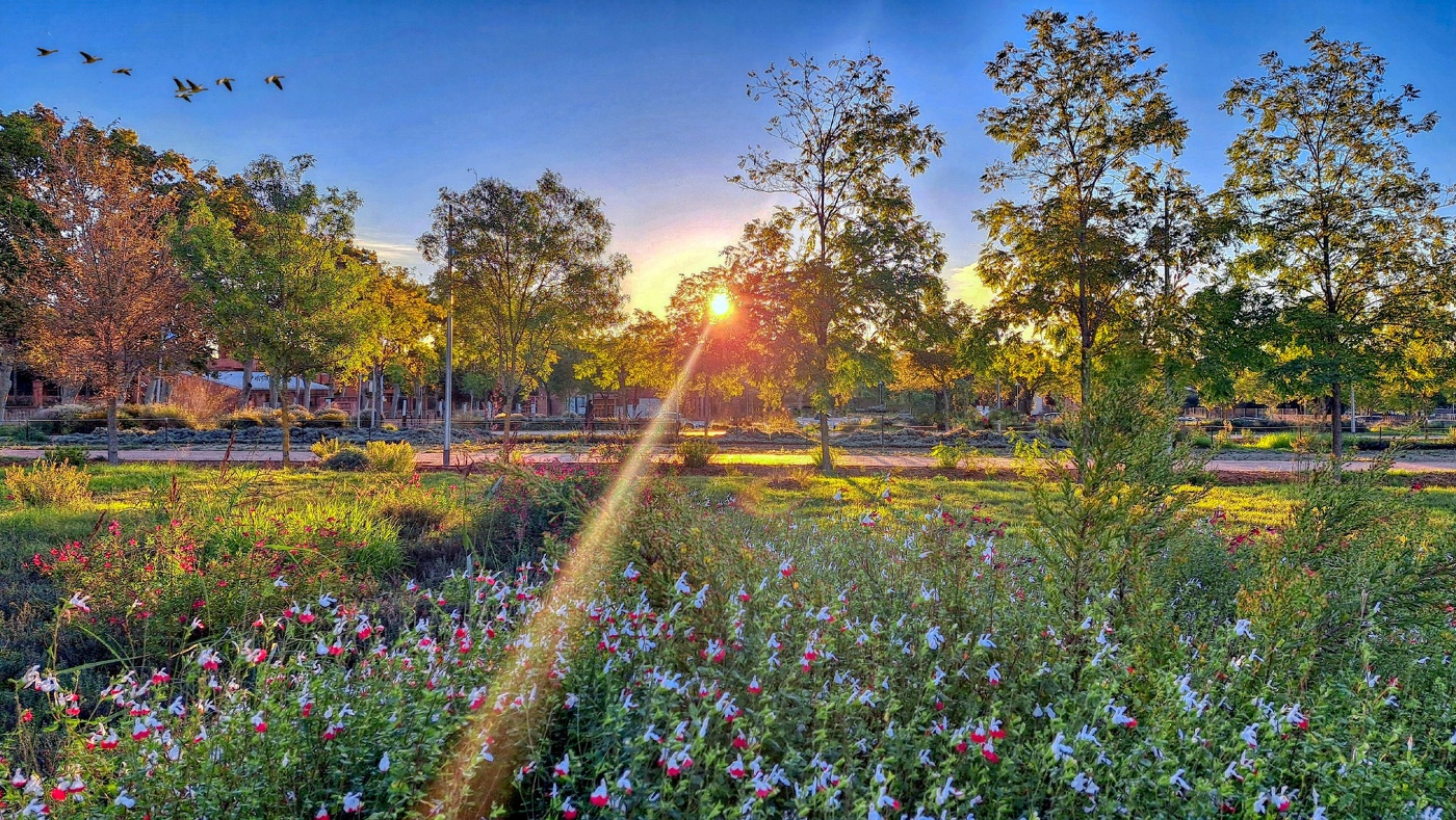 Reus - Passeig Boca de la Mina (jardí botànic) - Baix Camp