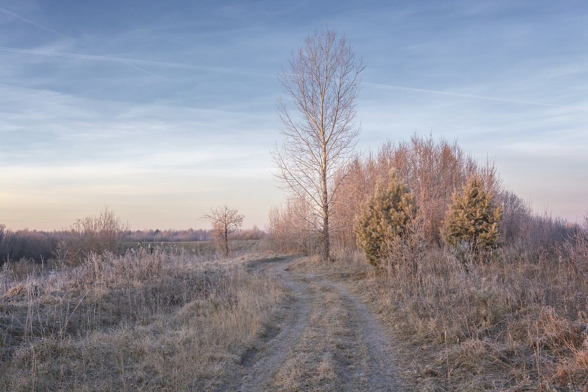 Sonnenaufgang über dem Fluss