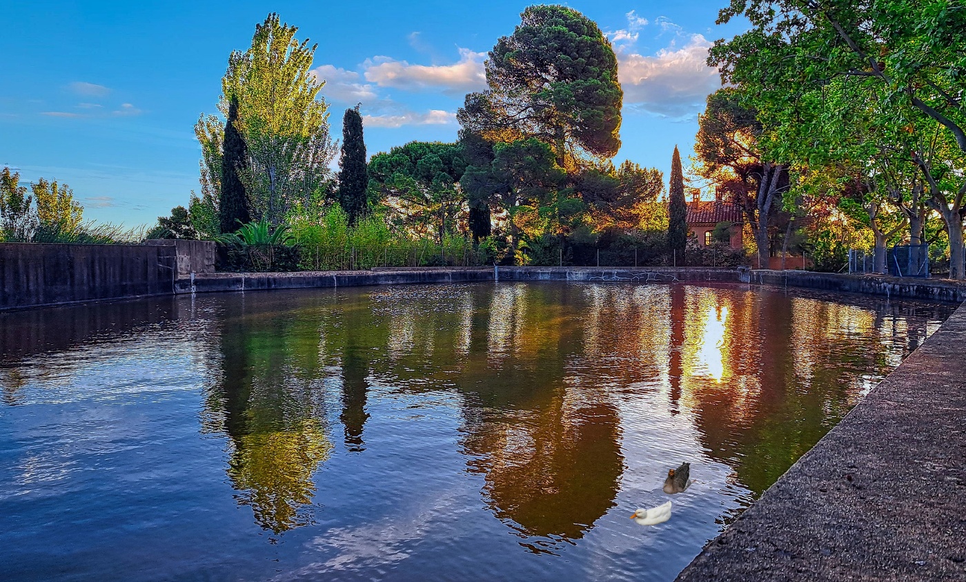 Reus - Boca de la Mina (bassa del Bacallà) - Baix Camp
