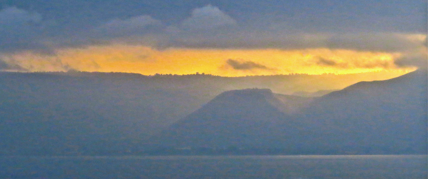 Sonnenaufgang im Wald