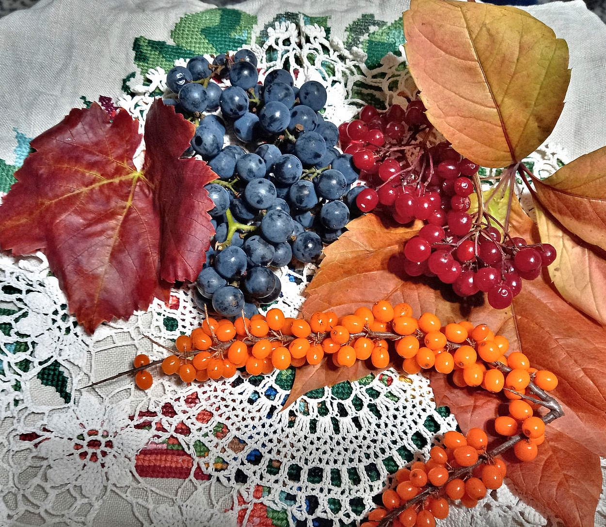 Autumn Gaben der Natur