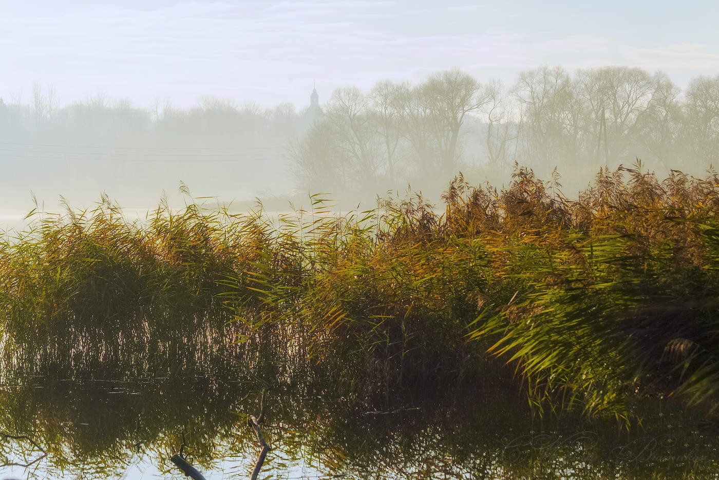 letzten Farben des Herbstes