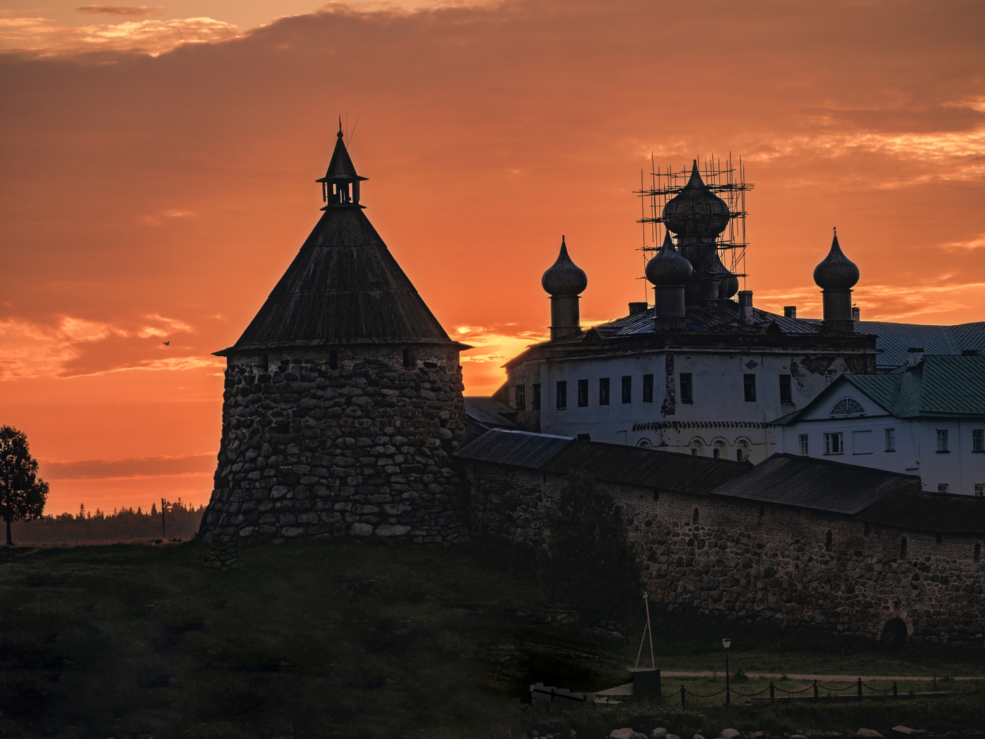Sonnenaufgang im Wald