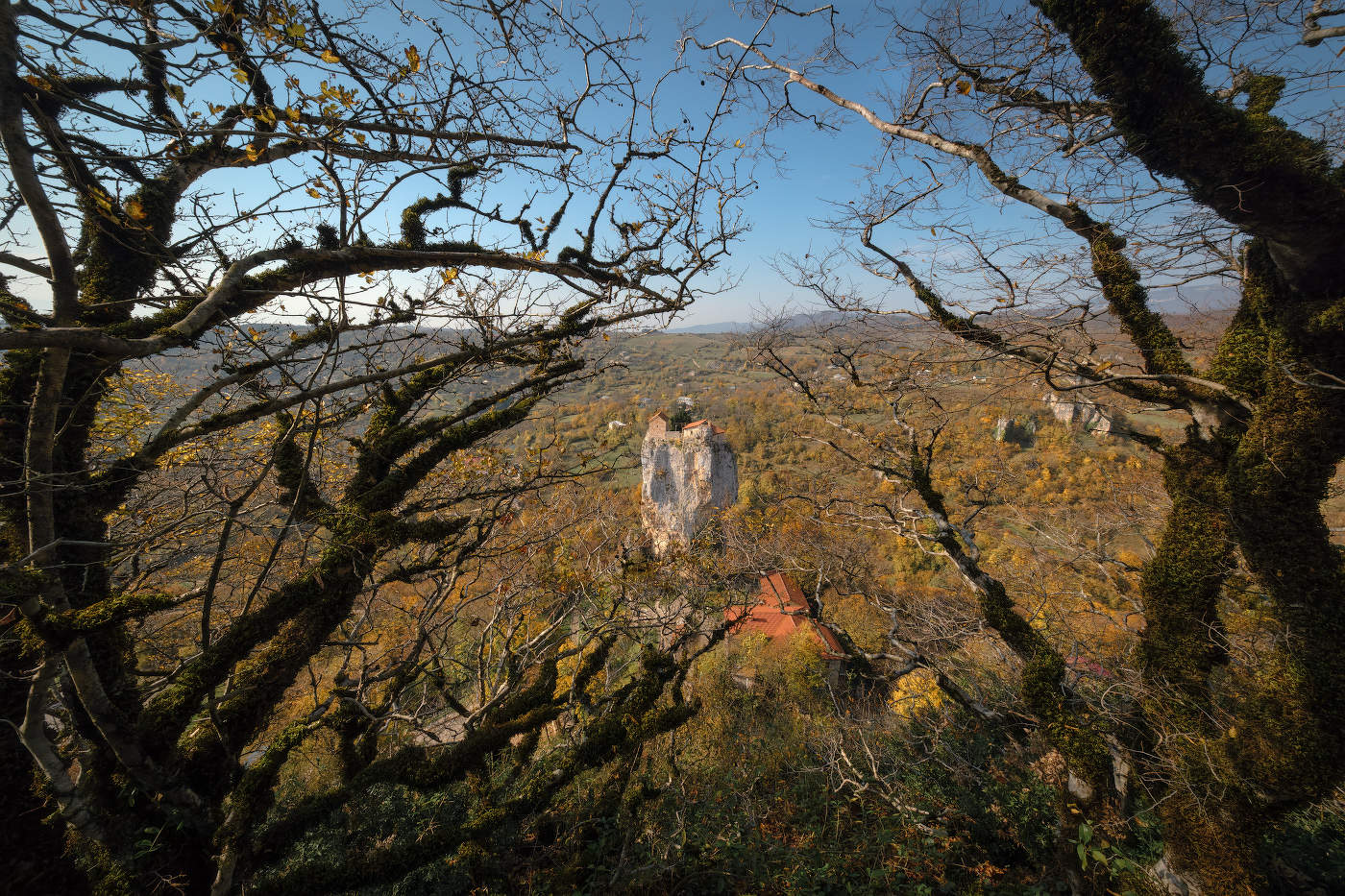 Katskhi Pillar View From Forest