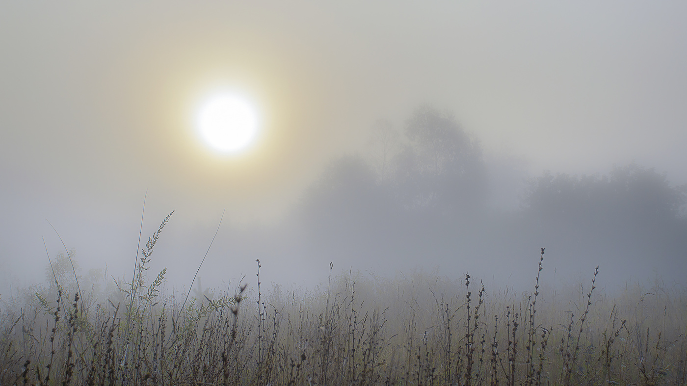 Nebel und Sonne