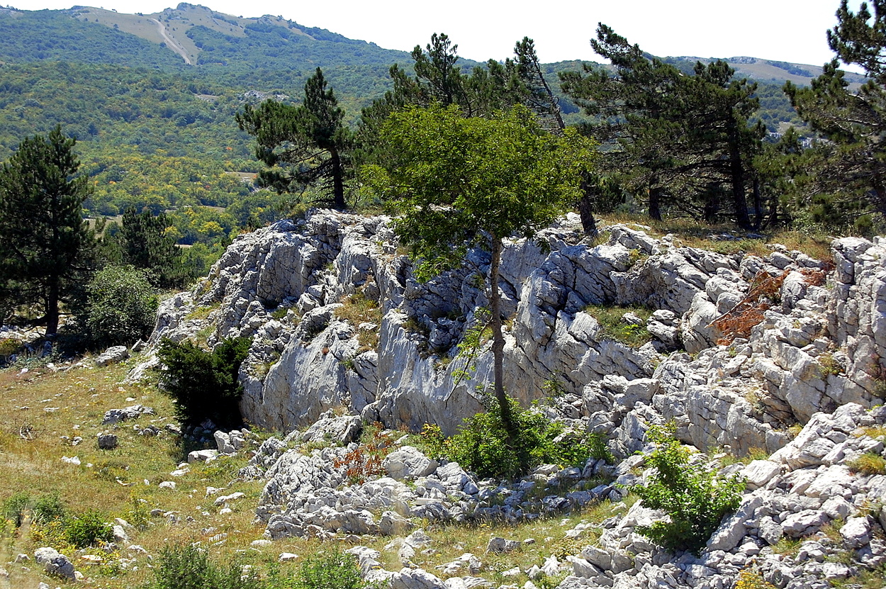 irgendwo in den Bergen