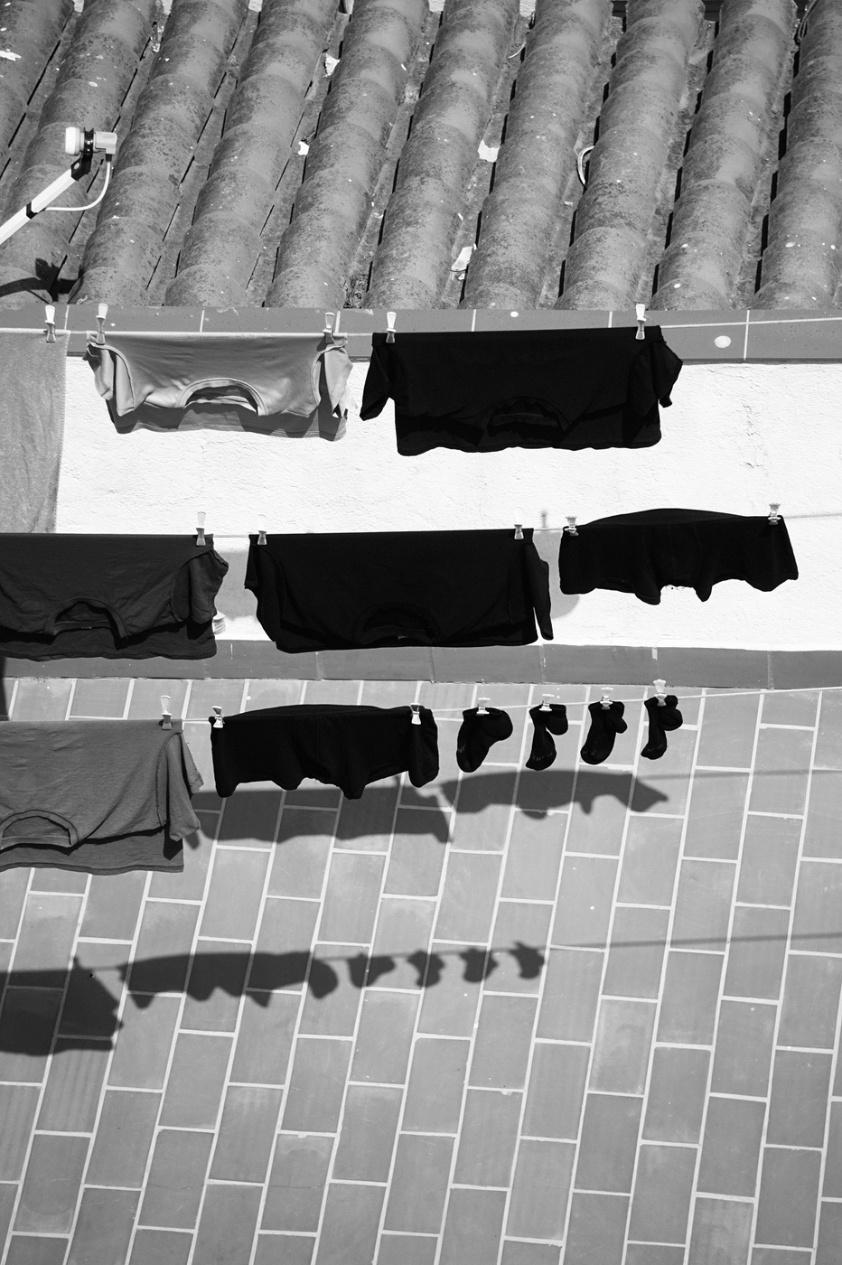 Durch grasen auf der Wiese ...