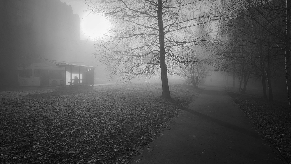 Misty Morgen, Morgen sedoe ...