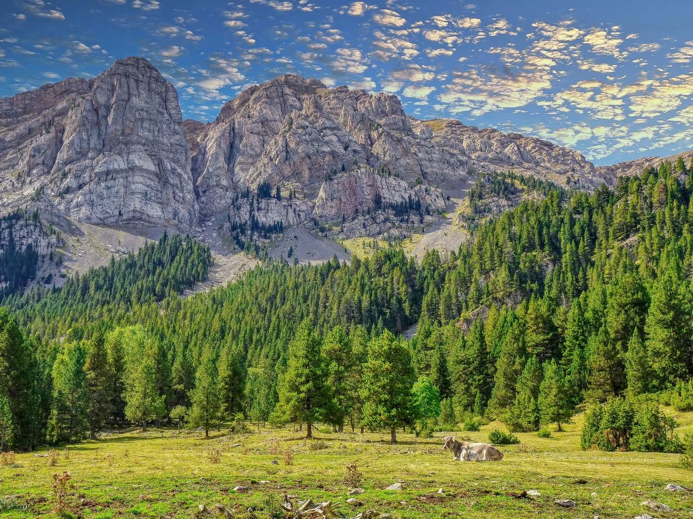 Estana - Serra de Cadí (Prat Cadí) - Baixa Cerdanya