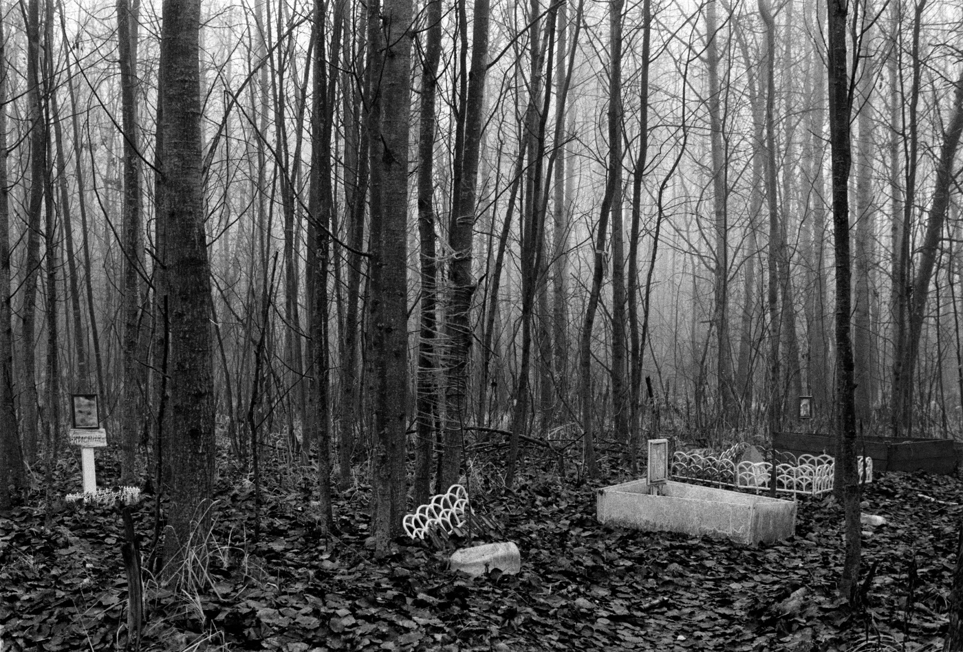 Friedhof der Kuscheltiere