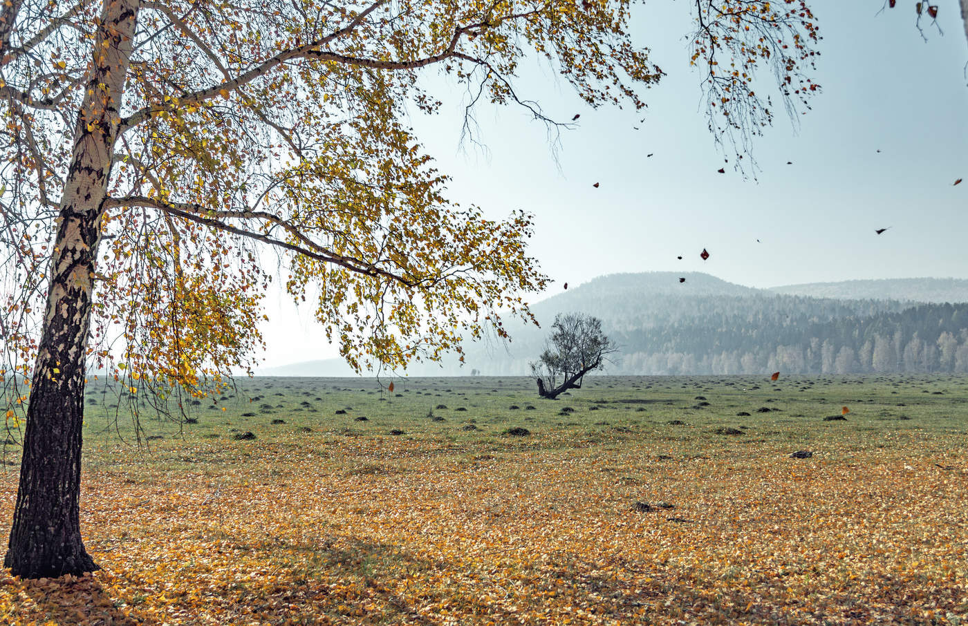 Ein Hauch von Herbst
