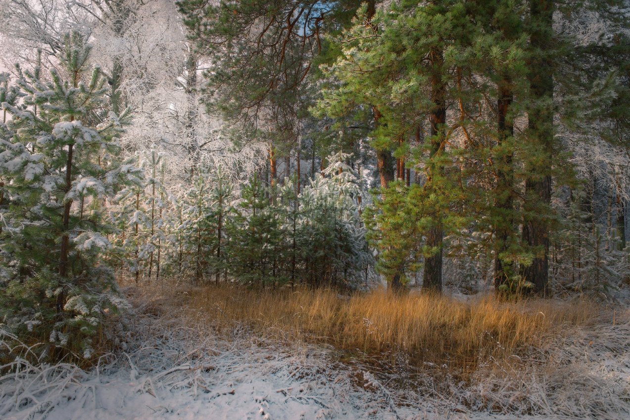 Unter dem Deckmantel