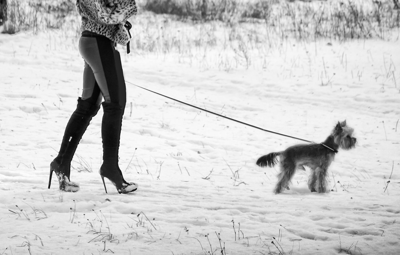 Der erste Schnee ...