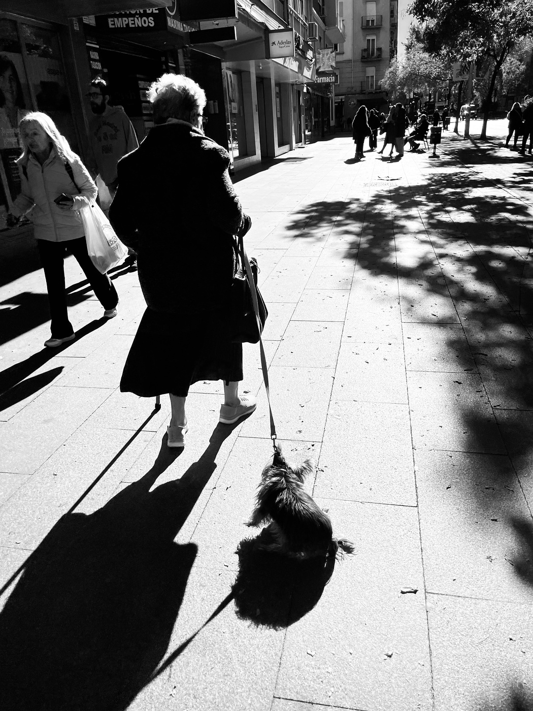 Dame mit dem Hündchen