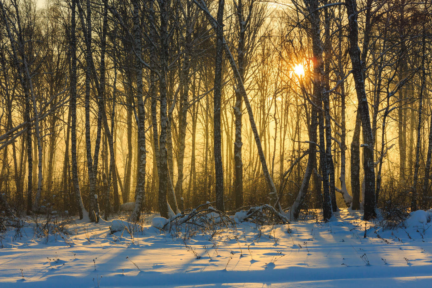 Frostiger Sonnenuntergang