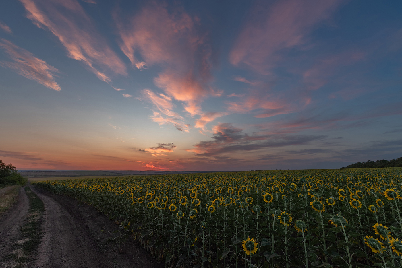 Warten auf die Sonne