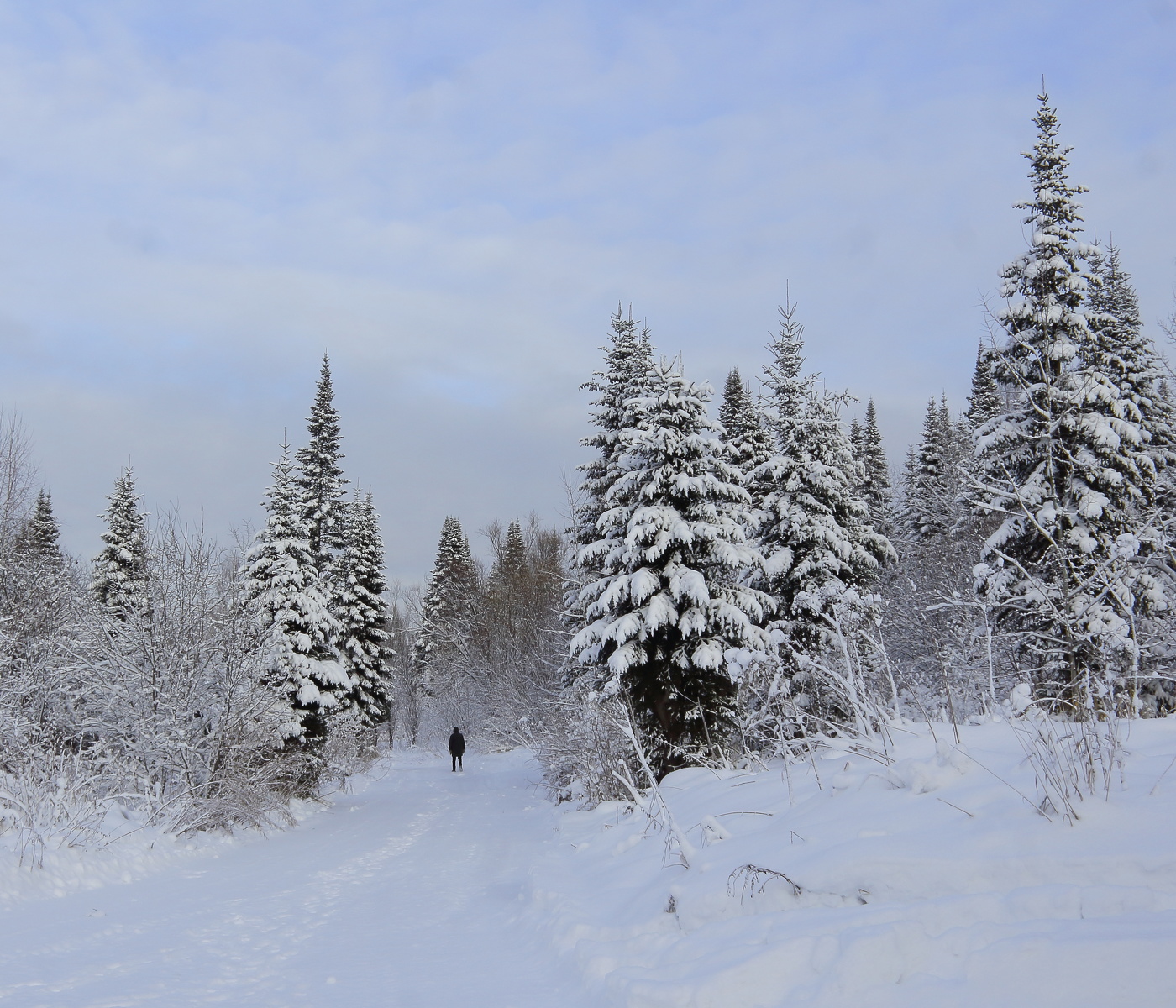 Der erste Tag des Winters