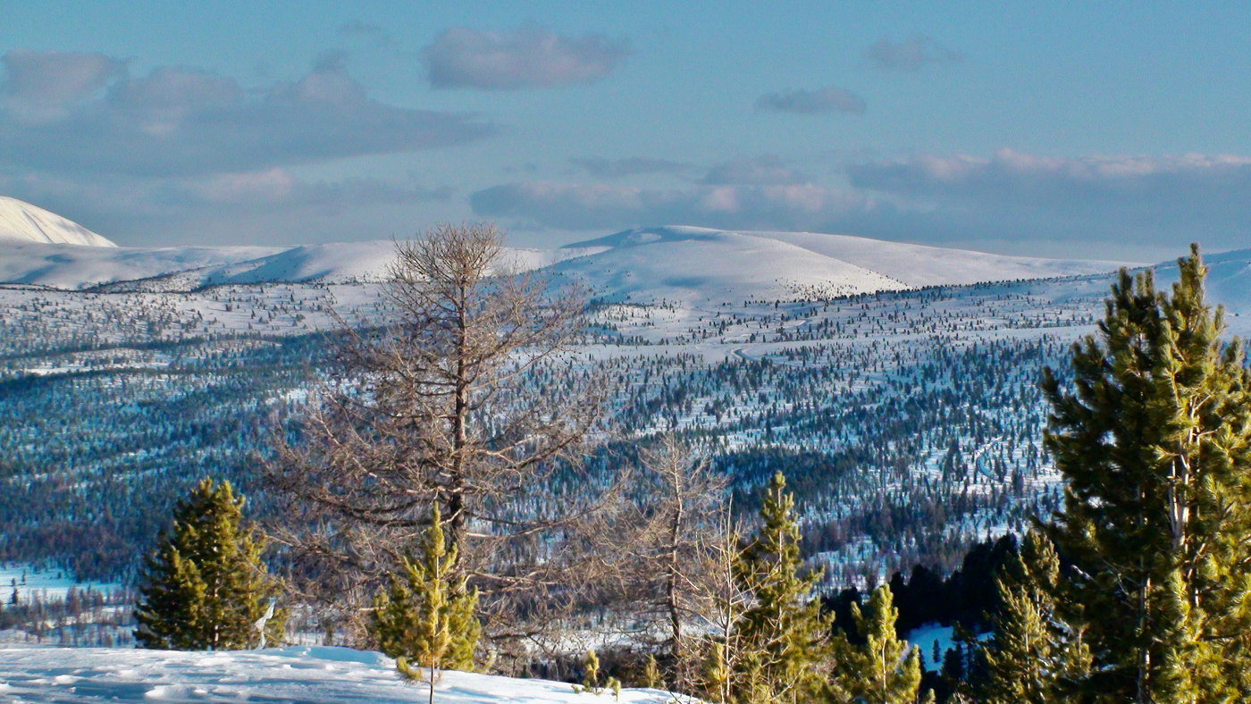 In Erinnerung an die Zukunft
