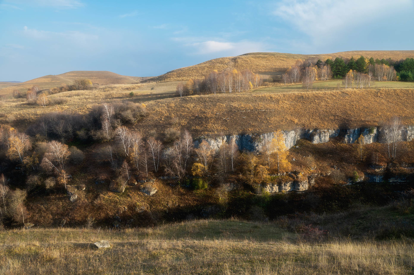 In den goldenen Herbst