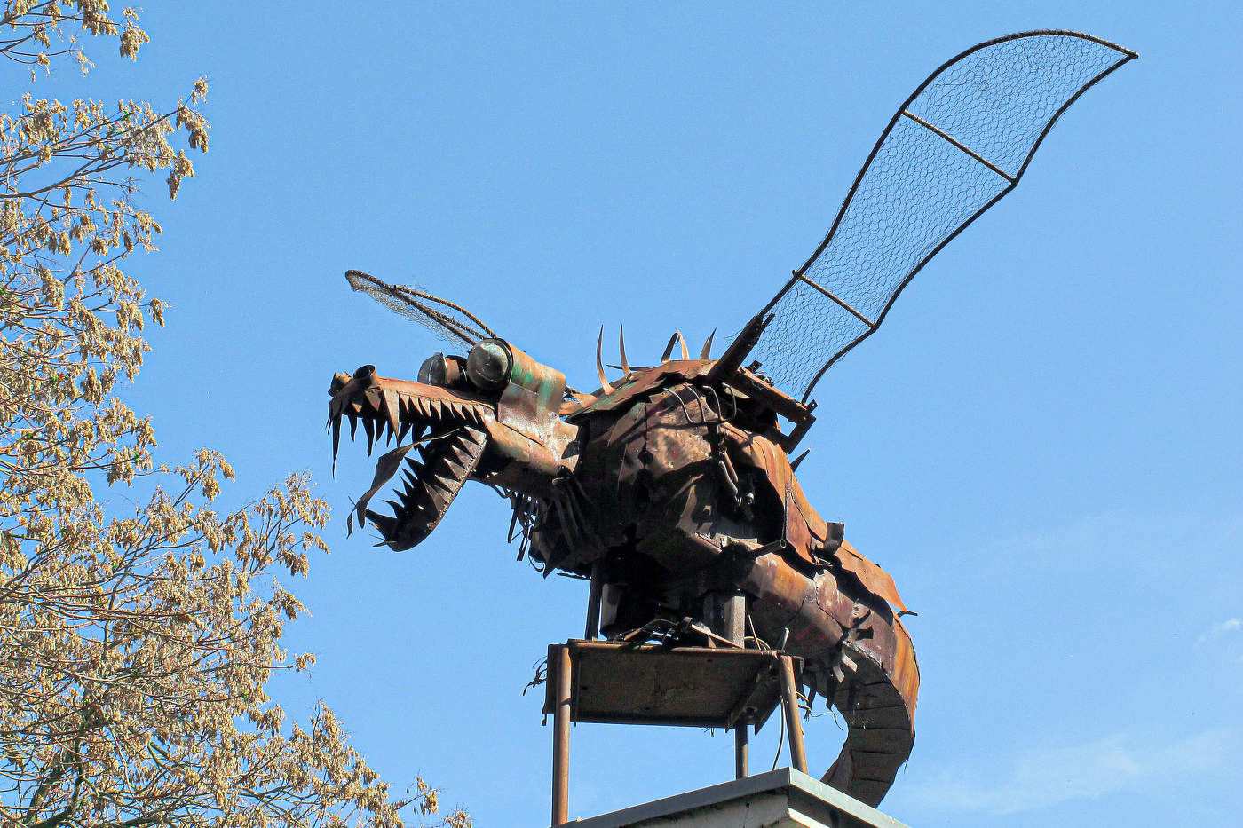 Pterosaurus metallicus