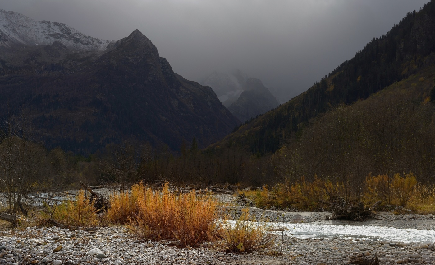 In den goldenen Herbst