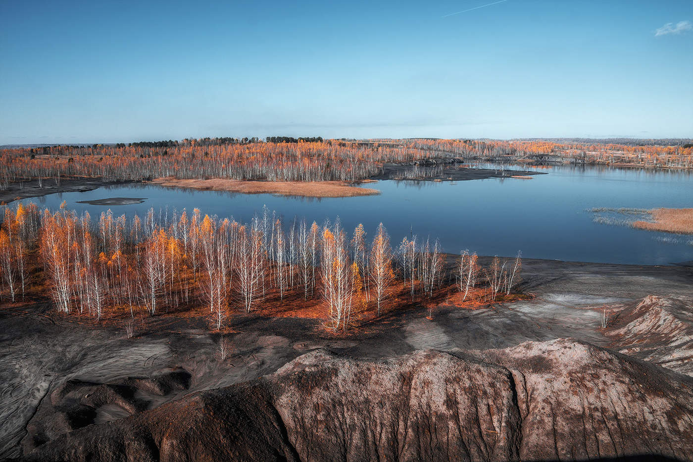Native Freiflächen.