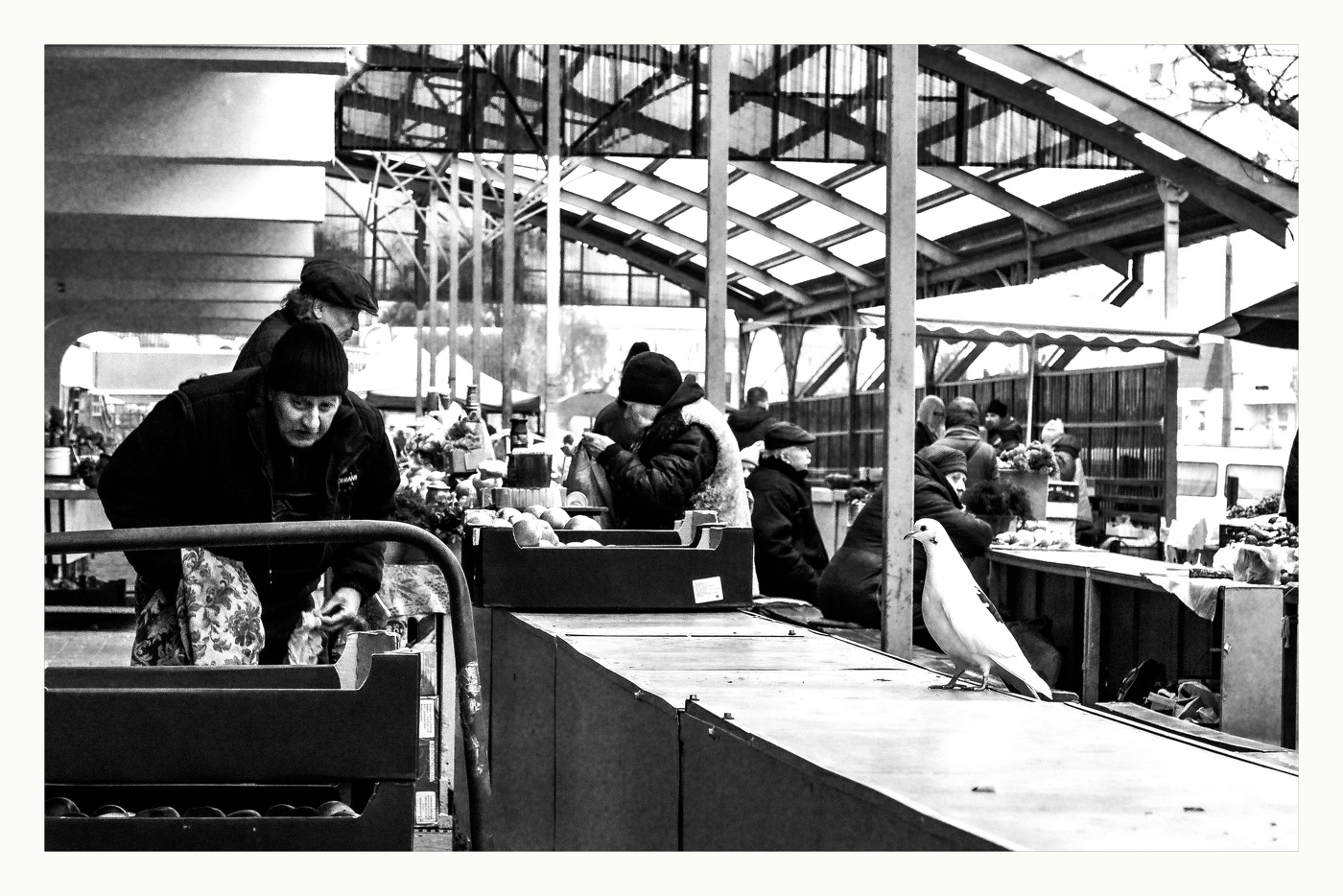 Der Geruch des Winters