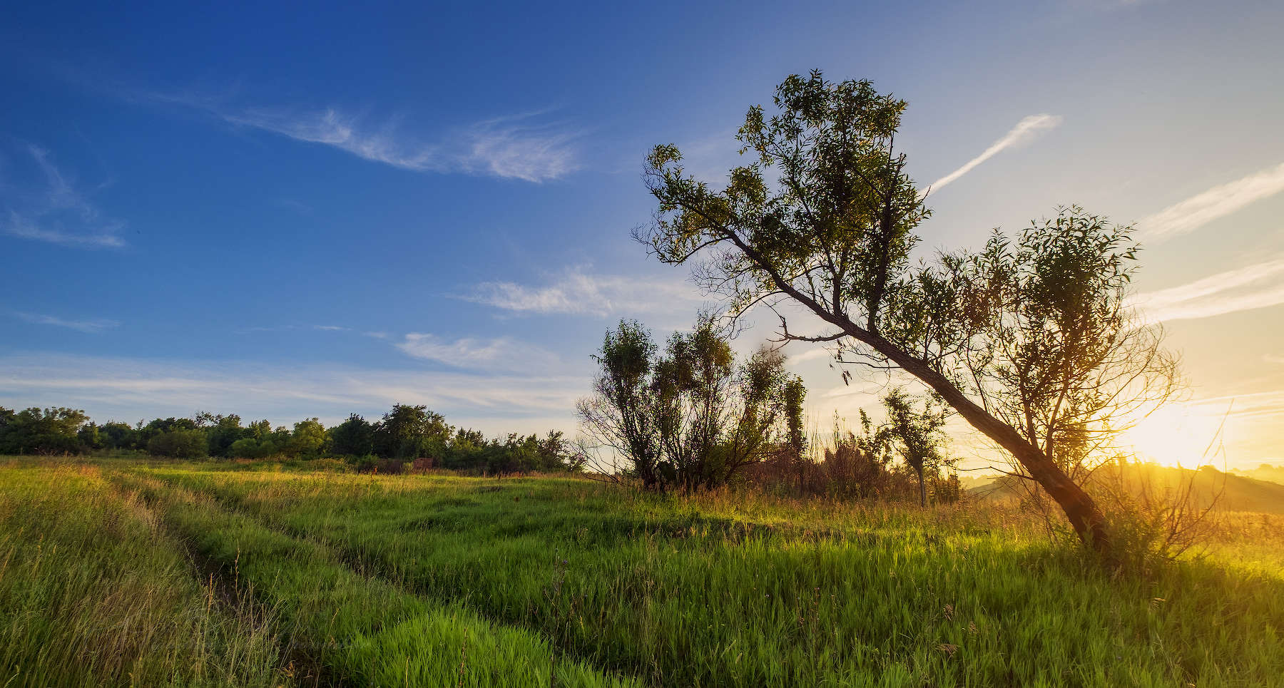 Unter dem blauen Himmel