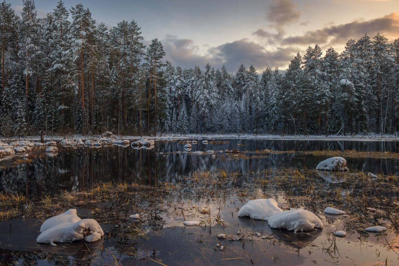 Zum Schweigen gebracht.