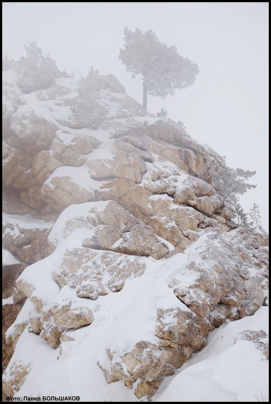 In der nördlichen Wildnis ...