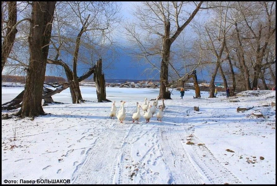 Wir lebten an der Oma ...