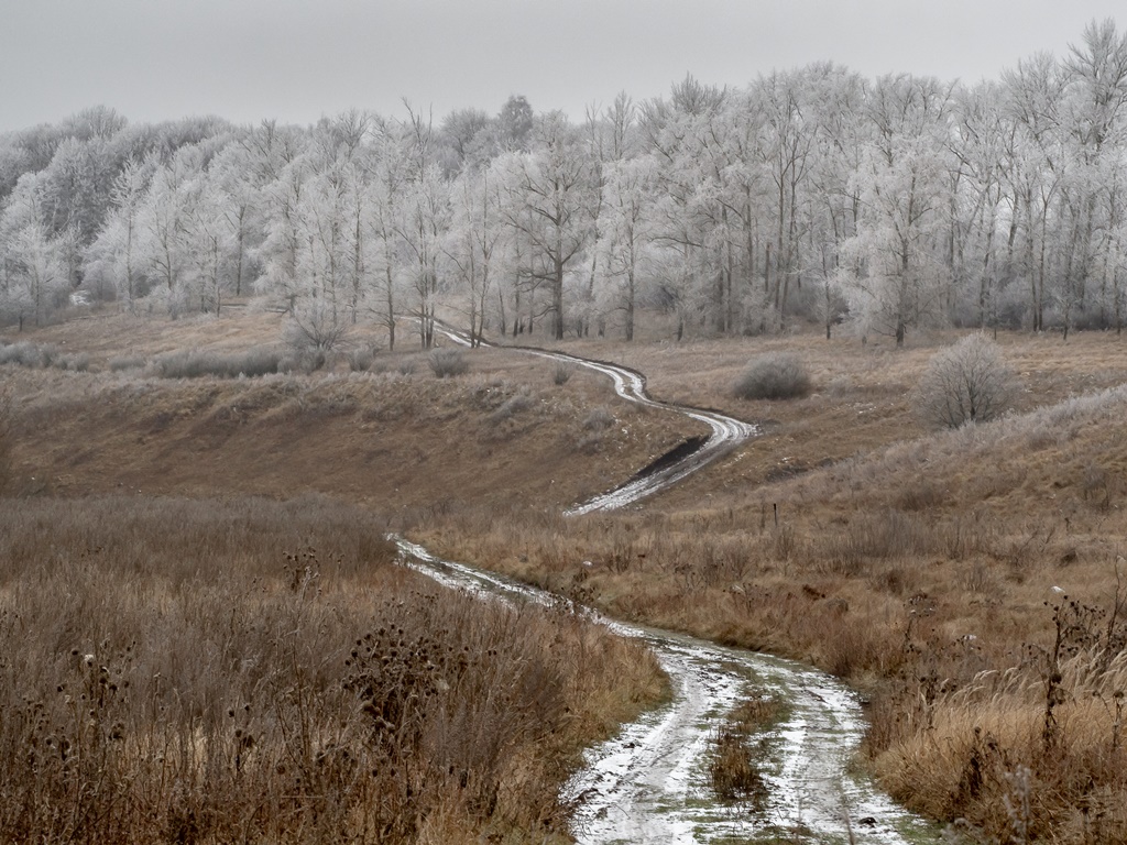 Glückliches Neues Jahr !!!