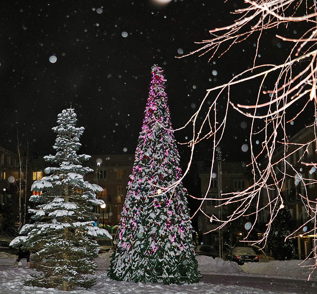 In der Silvesternacht