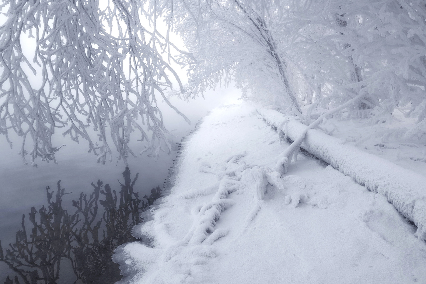 In der frostigen Nebel